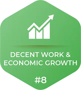 Decent Work & Economic Growth #8 Hexagon Card